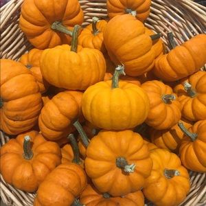 Meet your Posher, Tanya